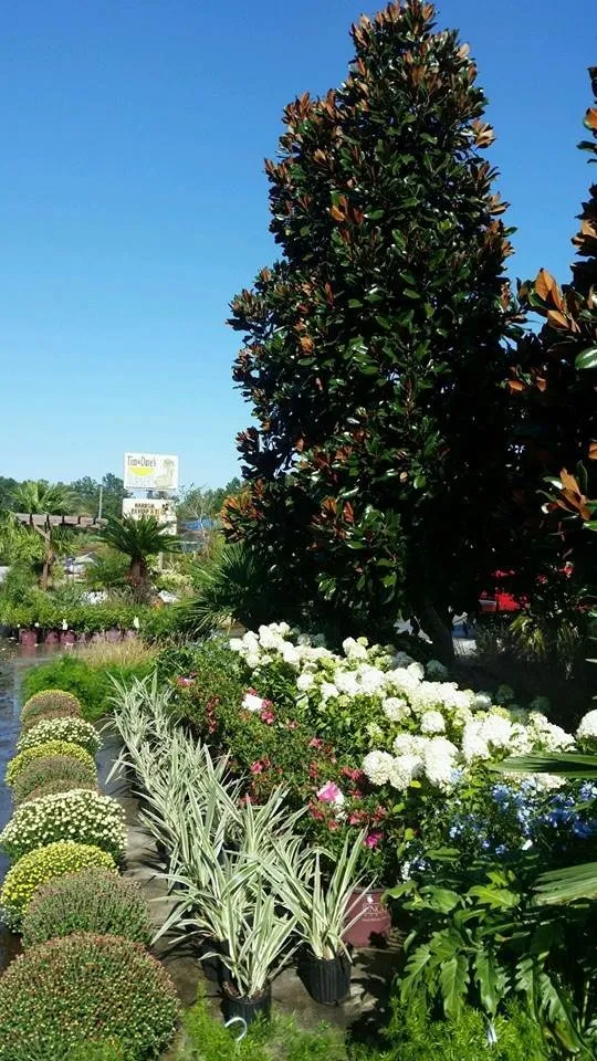 Reliable lawn mowing service for year-round maintenance across Richmond Hill, GA - Tim & Dave's Nursery