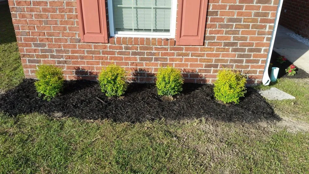 Professional landscape installation with custom design across Richmond Hill, GA - Tim & Dave's Nursery