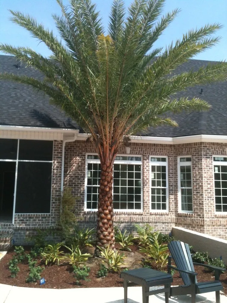 Professional lawn care service for homes across Richmond Hill, GA - Tim & Dave's Nursery