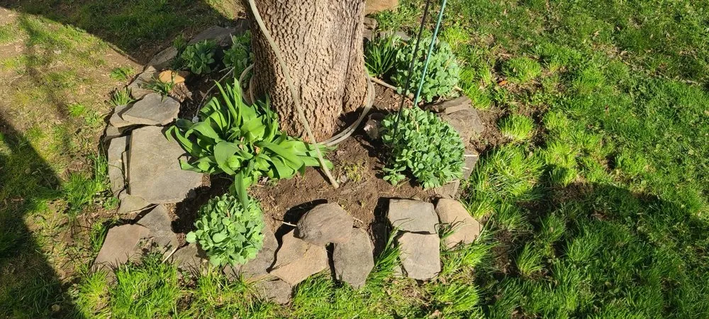 Affordable garden landscaping experts serving Philadelphia, PA - Tim & Did Landscaping