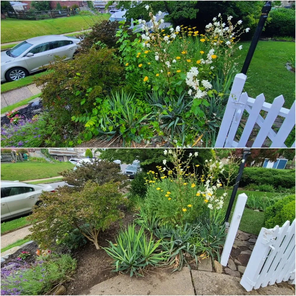 Affordable lawn care service with custom design across Philadelphia, PA - Tim & Did Landscaping