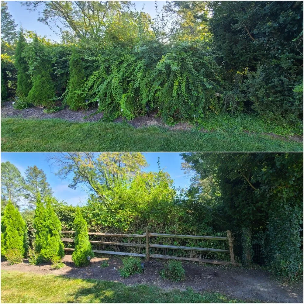 Trusted garden landscaping in Philadelphia, PA by Tim & Did Landscaping