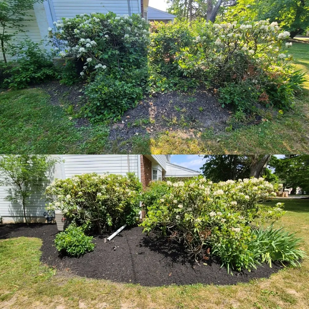 Top-rated landscaping services in Philadelphia, PA by Tim & Did Landscaping