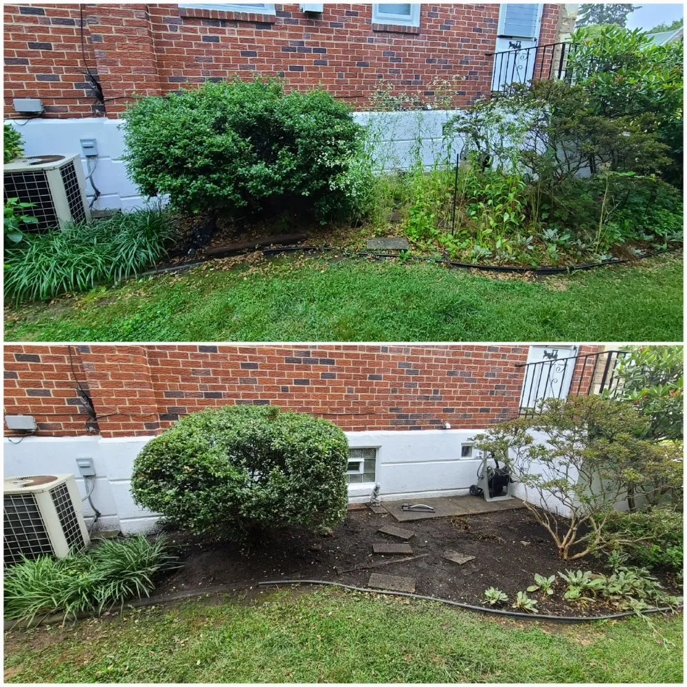 Custom yard maintenance for year-round maintenance across Philadelphia, PA - Tim & Did Landscaping