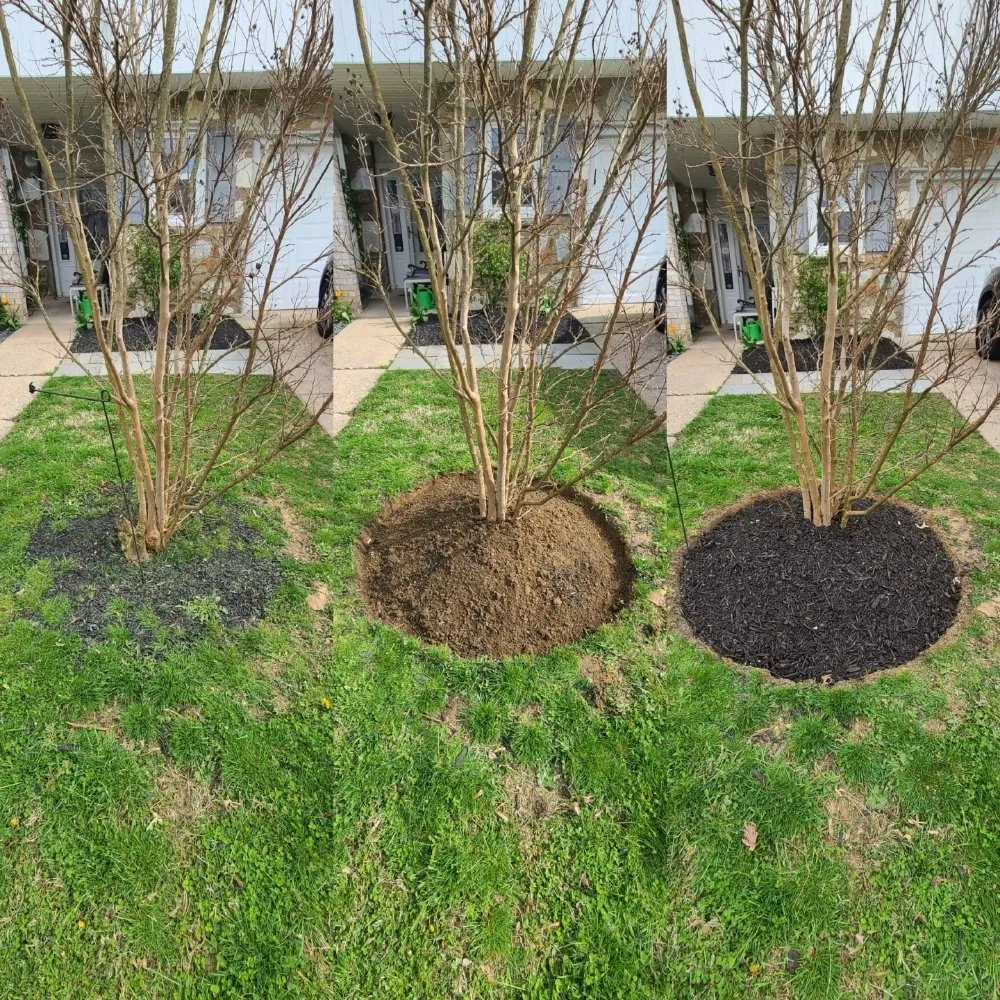 Local landscape design experts serving Philadelphia, PA - Tim & Did Landscaping