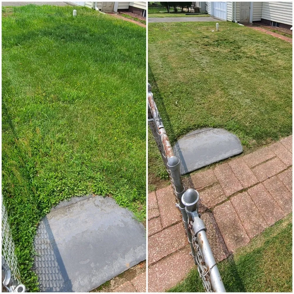 Custom residential landscaping in Philadelphia, PA by Tim & Did Landscaping