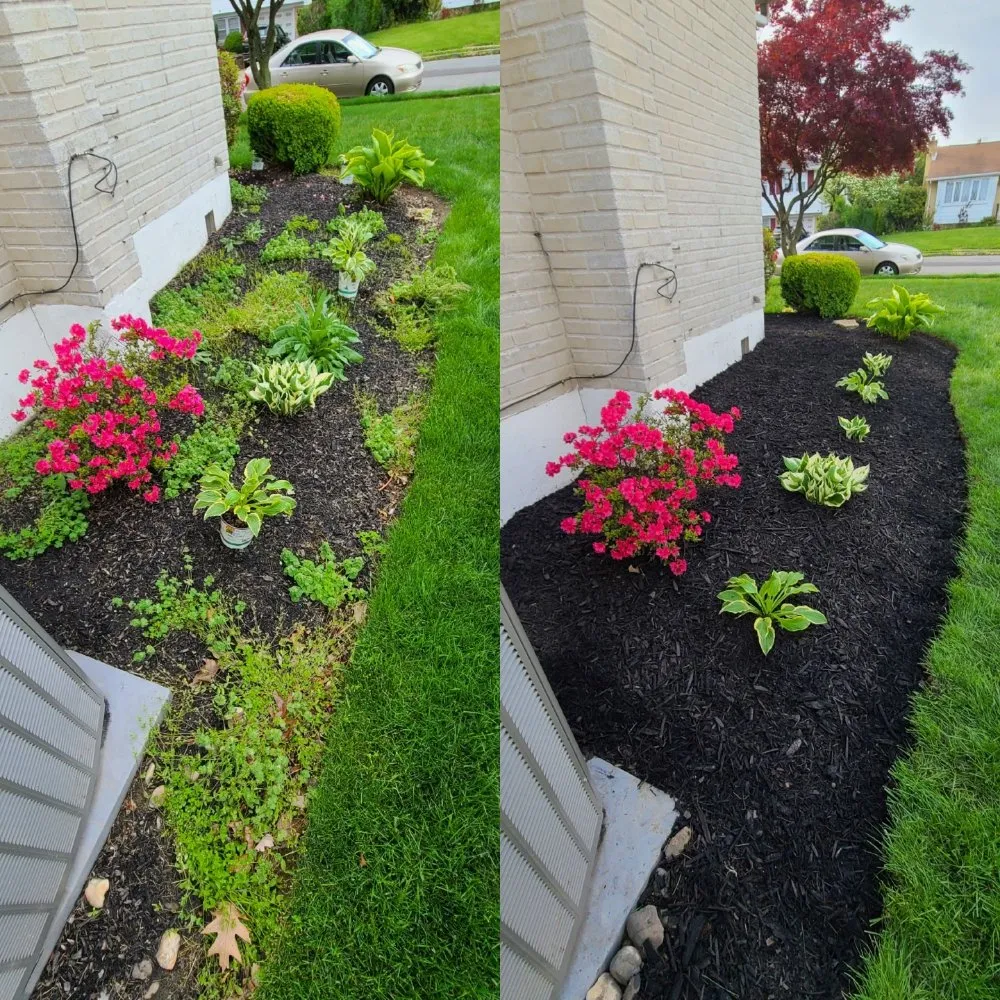 Trusted yard cleanup service experts serving Philadelphia, PA - Tim & Did Landscaping