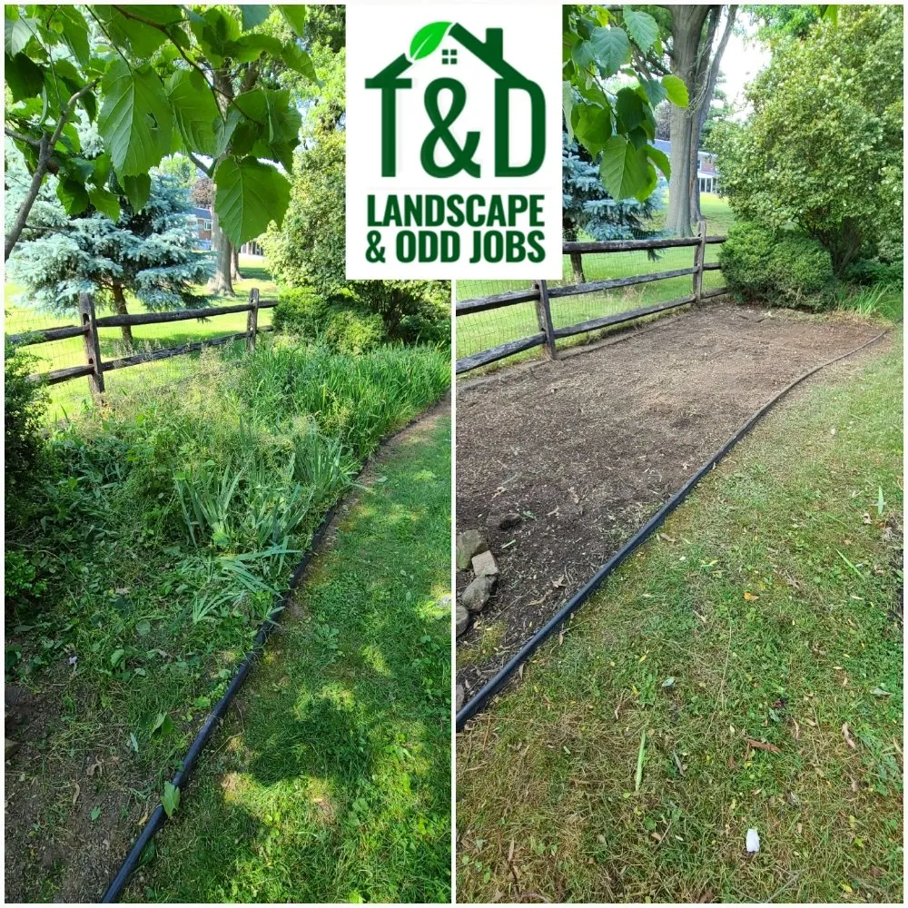 Reliable yard cleanup service in Philadelphia, PA - Tim & Did Landscaping