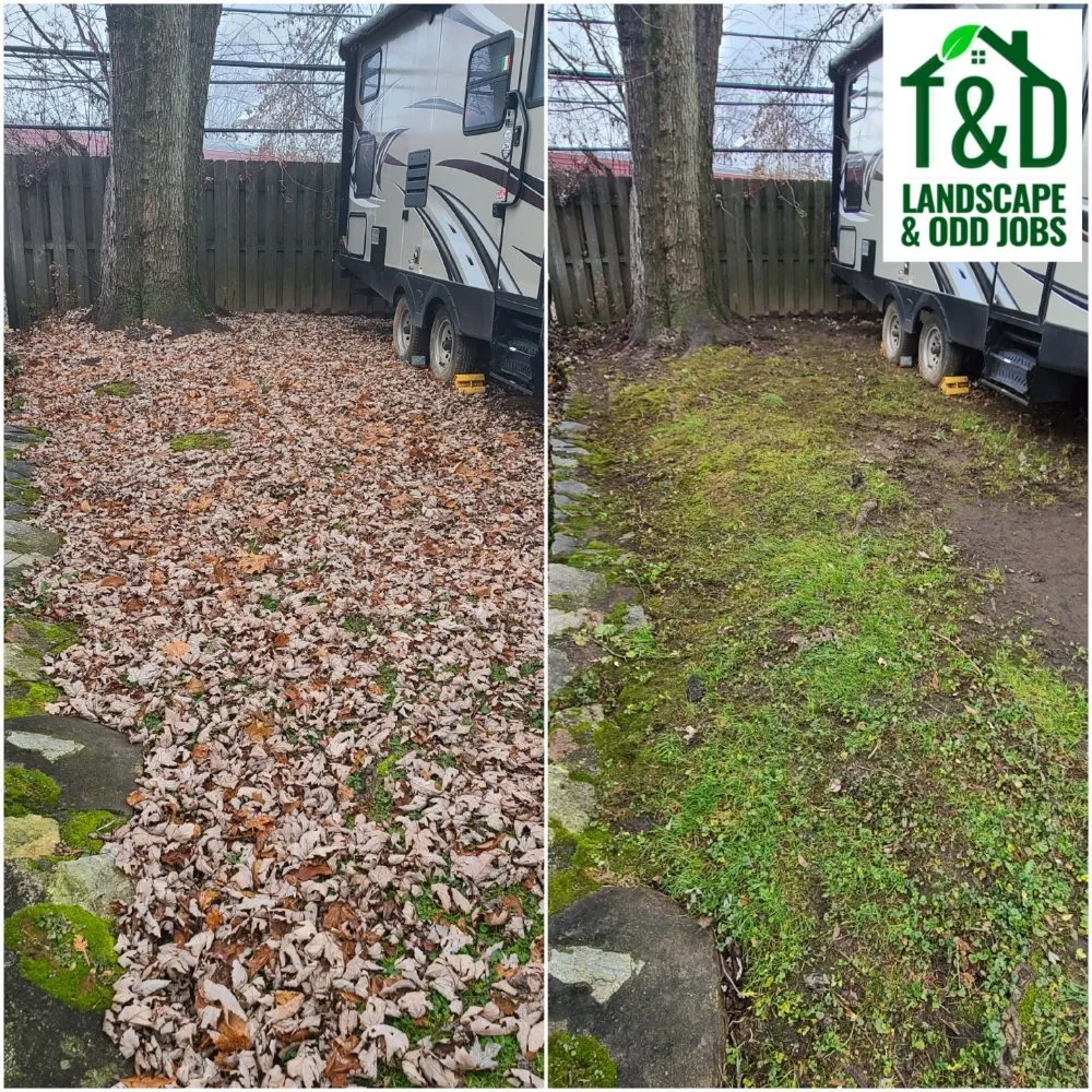 Affordable yard cleanup service in Philadelphia, PA - Tim & Did Landscaping