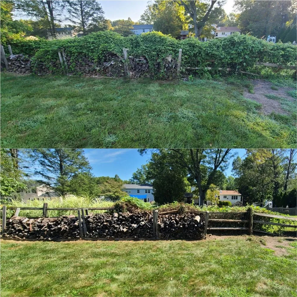 Trusted lawn mowing service in Philadelphia, PA by Tim & Did Landscaping