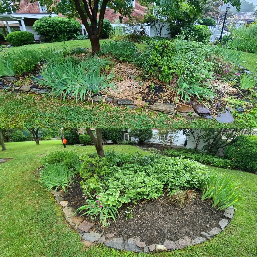 Custom yard maintenance experts serving Philadelphia, PA - Tim & Did Landscaping