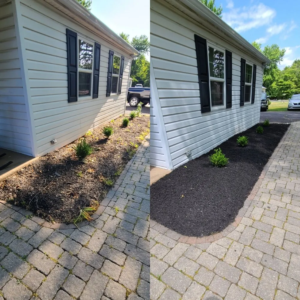 Reliable yard maintenance in Philadelphia, PA - Tim & Did Landscaping