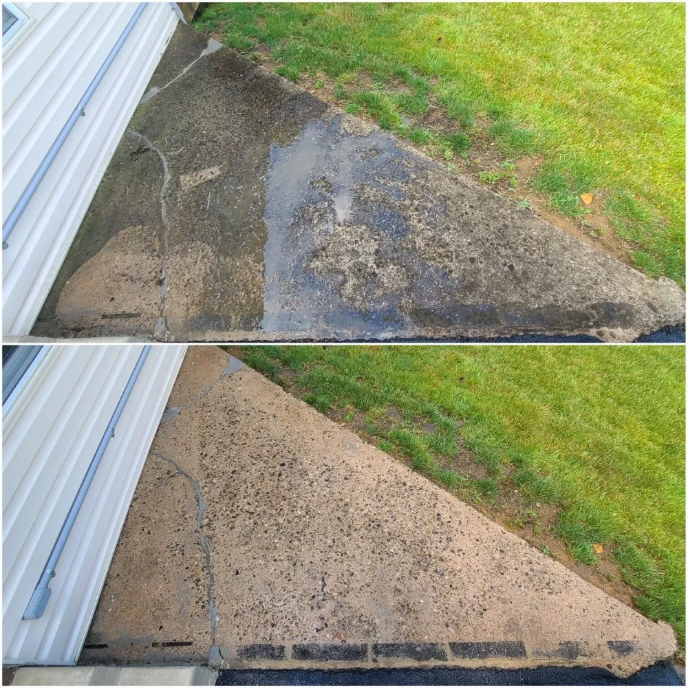 Affordable lawn care service experts serving Philadelphia, PA - Tim & Did Landscaping