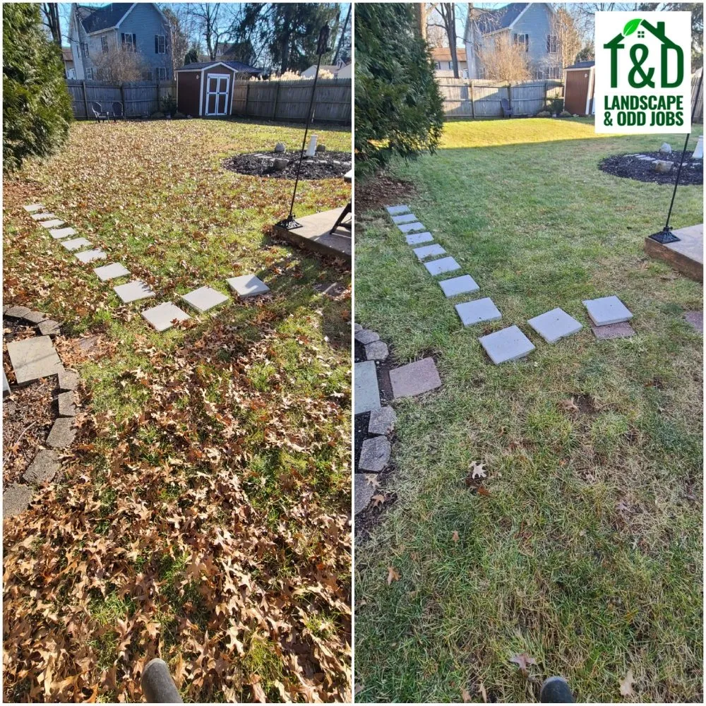Custom yard cleanup service experts serving Philadelphia, PA - Tim & Did Landscaping