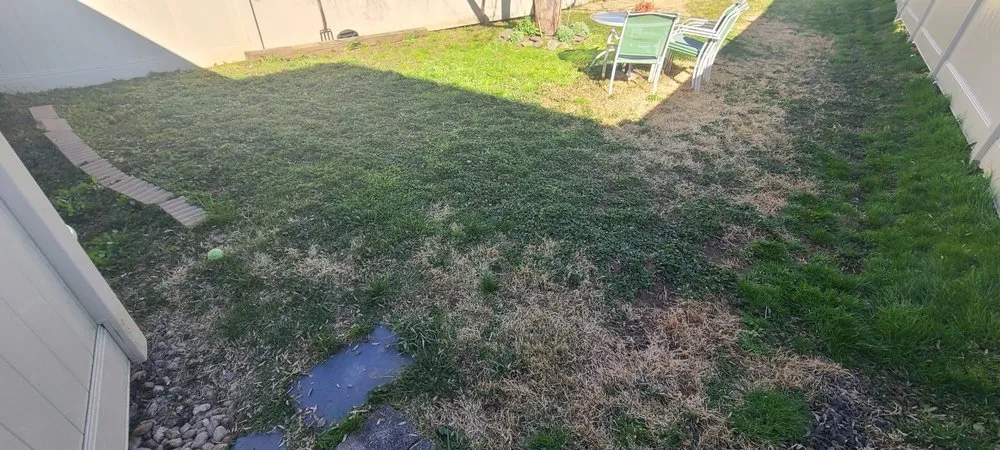 Trusted yard maintenance in Philadelphia, PA - Tim & Did Landscaping