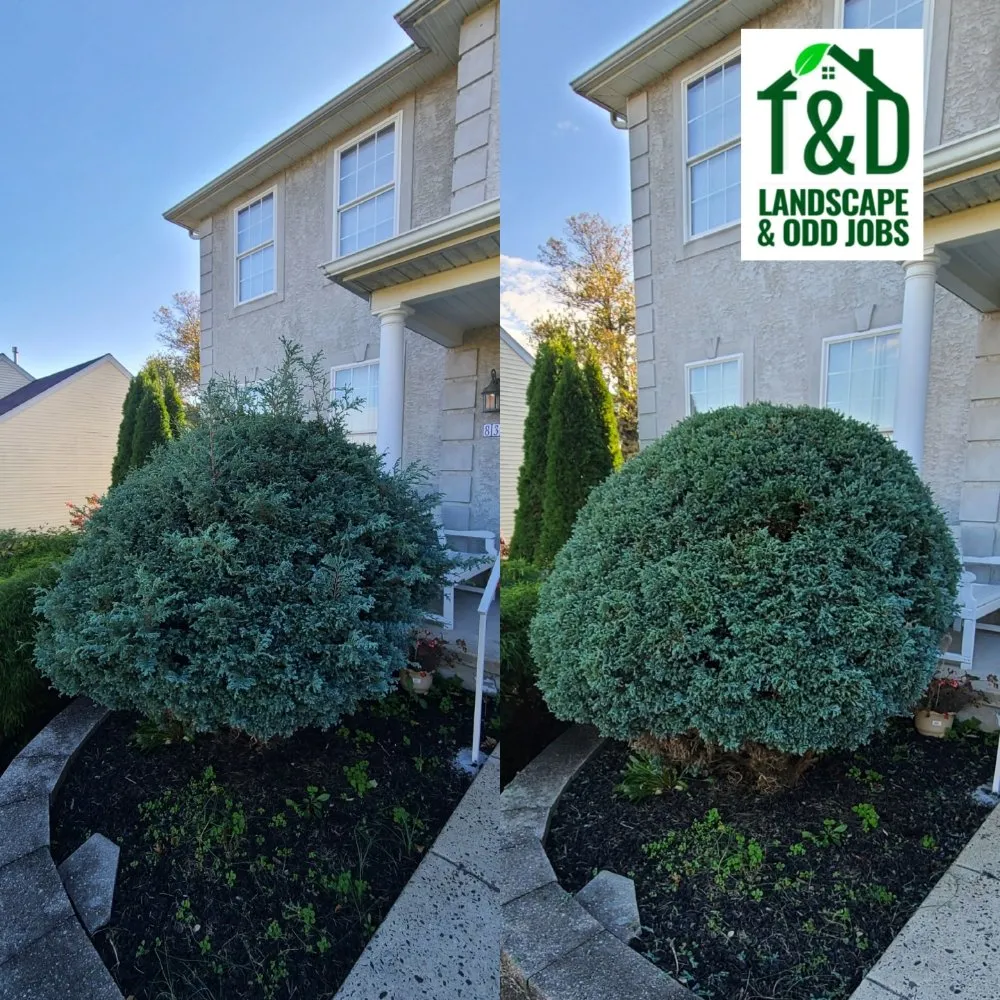 Trusted landscape installation in Philadelphia, PA - Tim & Did Landscaping