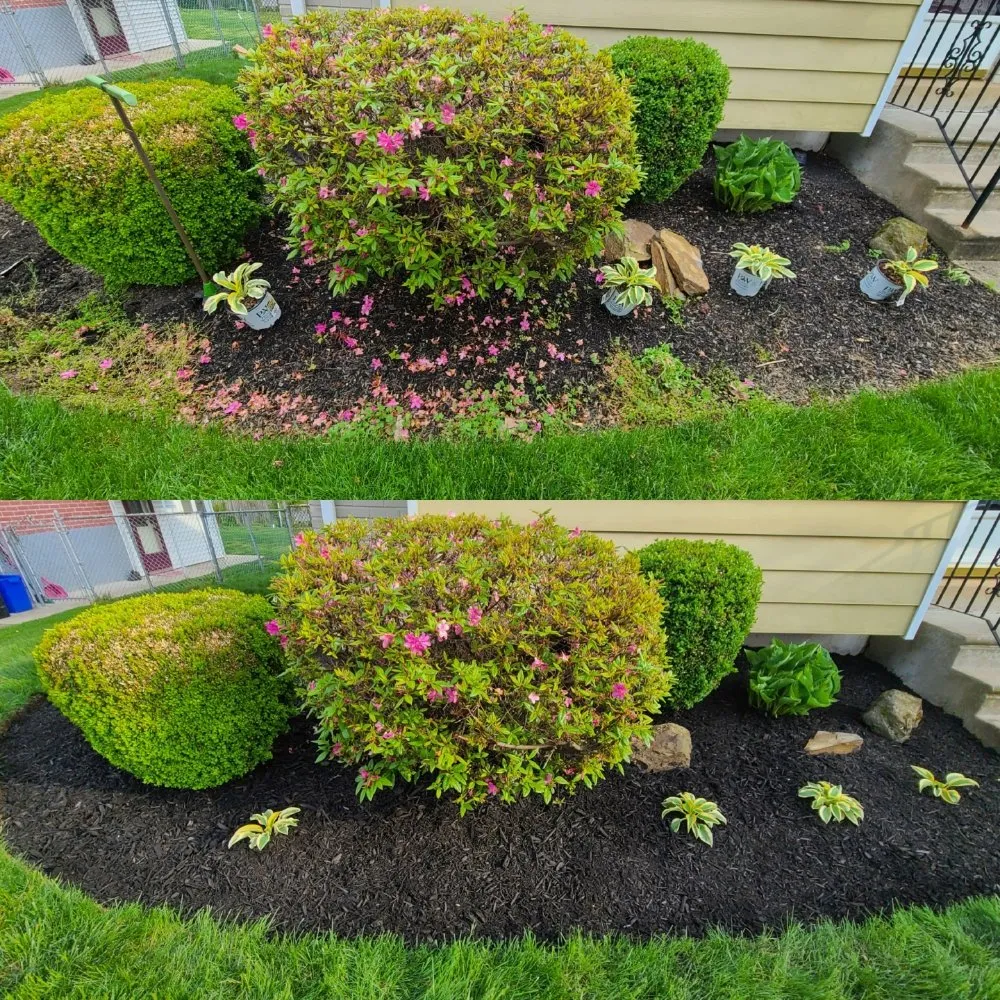 Affordable landscape installation in Philadelphia, PA - Tim & Did Landscaping