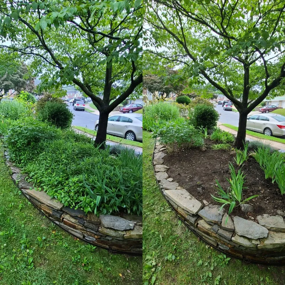 Reliable landscaping services in Philadelphia, PA - Tim & Did Landscaping