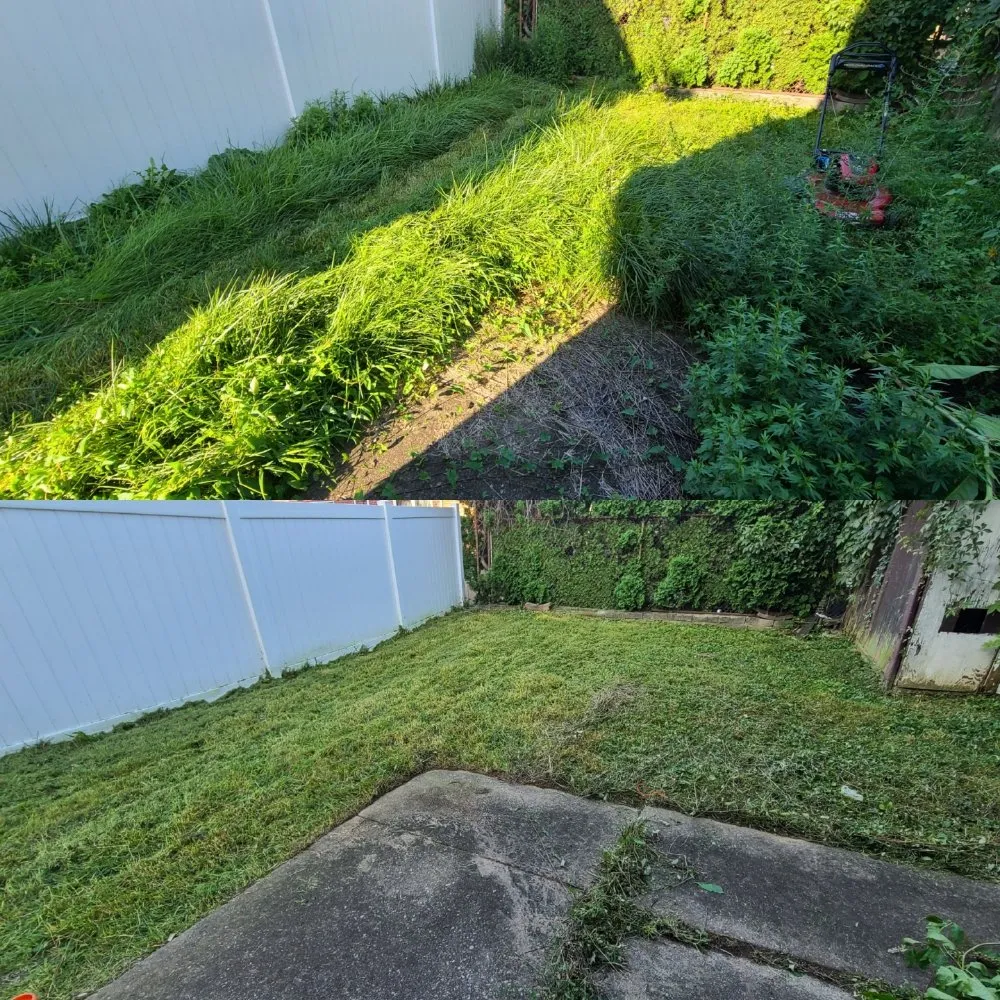 Top-rated lawn mowing service for beautiful yards across Philadelphia, PA - Tim & Did Landscaping