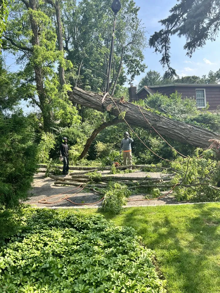 Expert landscape design in East Northport, NY - Tim A Tree