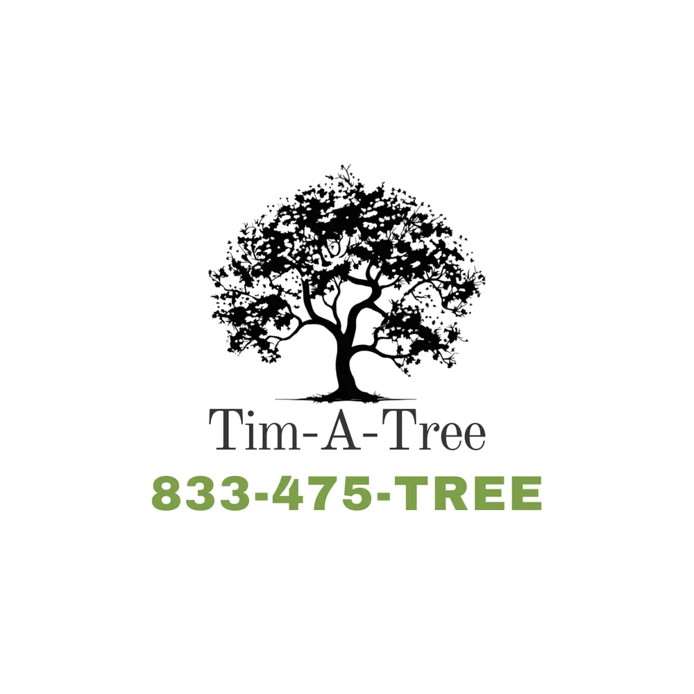 Professional garden landscaping in East Northport, NY by Tim A Tree