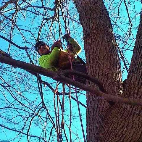 Affordable landscape installation in East Northport, NY - Tim A Tree