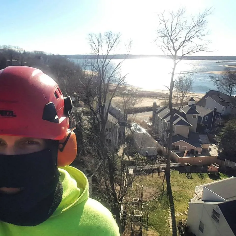 Top-rated landscape design with custom design across East Northport, NY - Tim A Tree