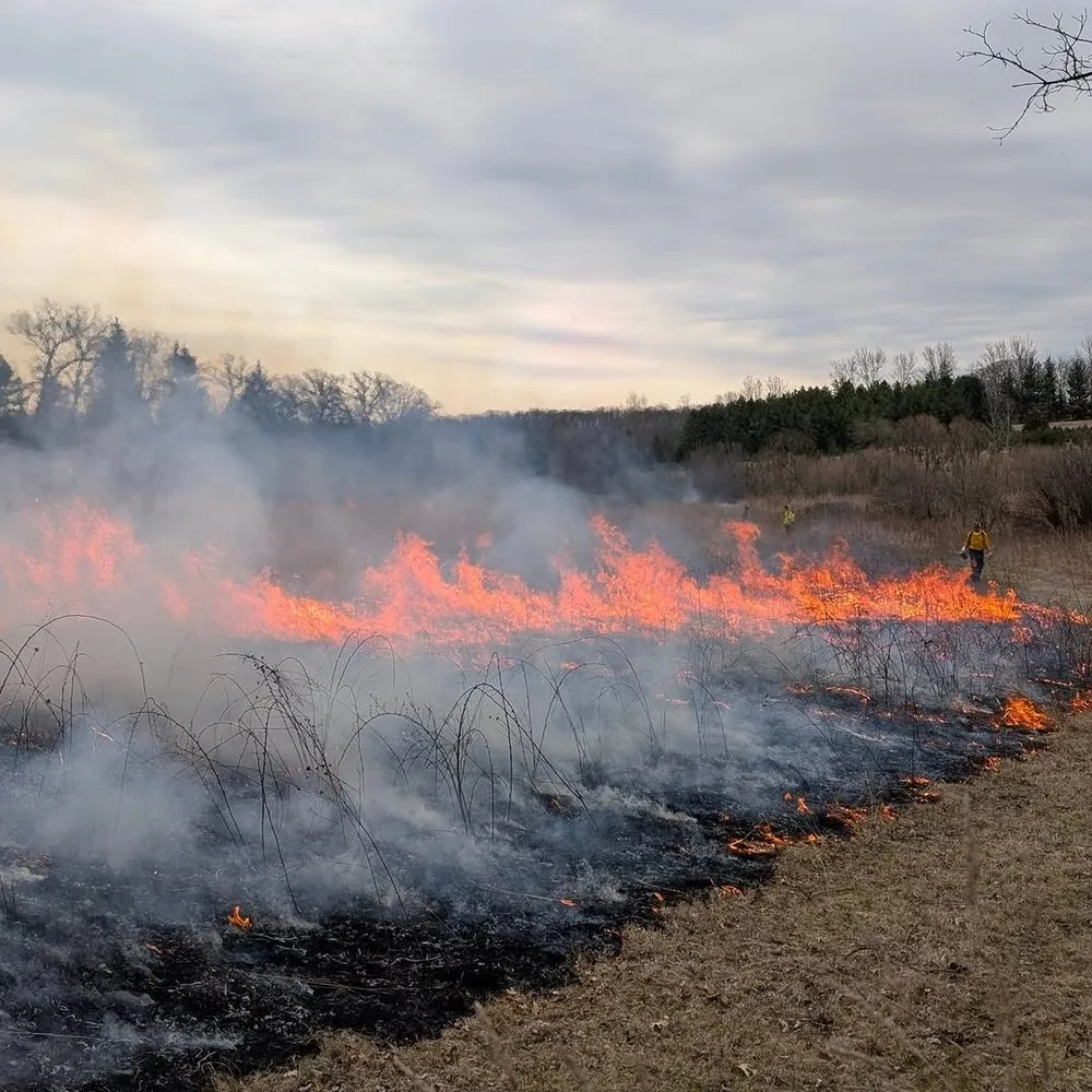 Local yard maintenance in Mazomanie, WI - Tim Andrews Horticulturist