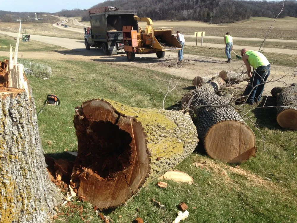 Expert landscape installation in Mazomanie, WI by Tim Andrews Horticulturist