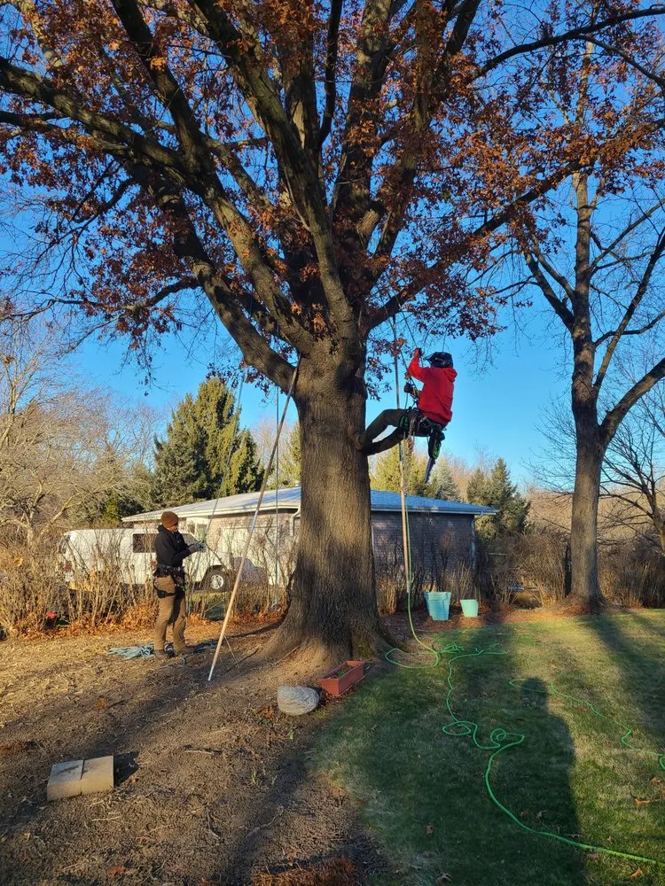 Expert landscape design in Mazomanie, WI - Tim Andrews Horticulturist