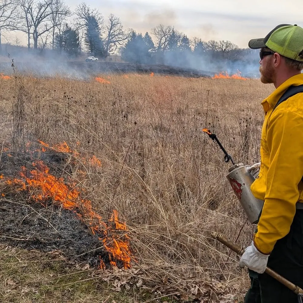 Professional lawn care service in Mazomanie, WI - Tim Andrews Horticulturist