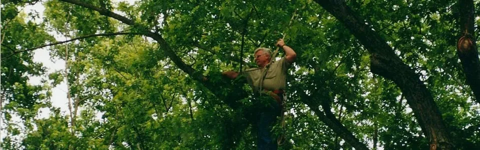 Professional landscape design experts serving Mazomanie, WI - Tim Andrews Horticulturist