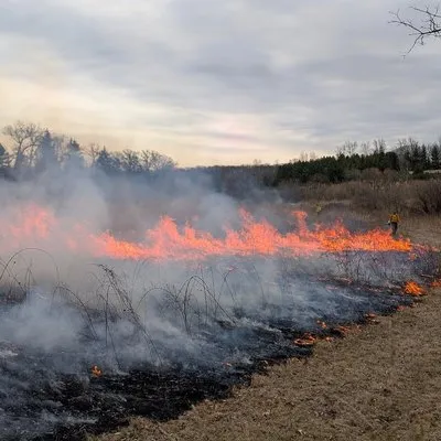 Tim Andrews Horticulturist