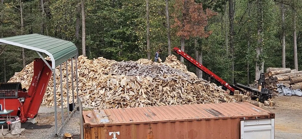 Reliable yard cleanup service for year-round maintenance across Culpeper, VA - Tim Corbin's Professional Services