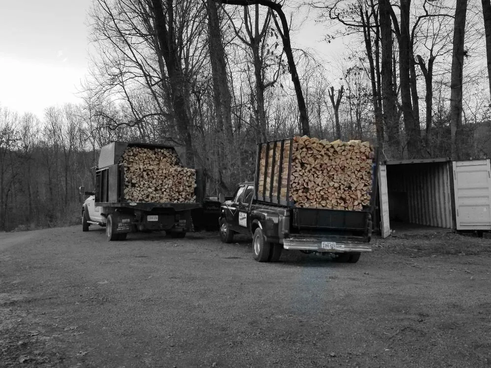 Professional garden landscaping for year-round maintenance in Culpeper, VA by Tim Corbin's Professional Services