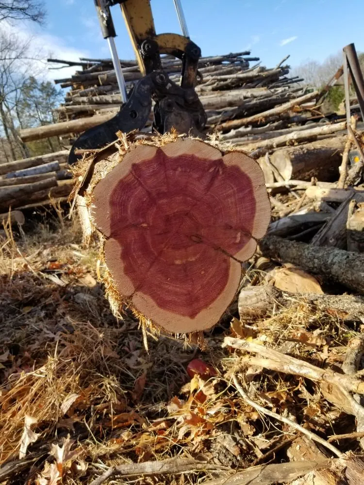 Top-rated landscaping services for beautiful yards in Culpeper, VA by Tim Corbin's Professional Services