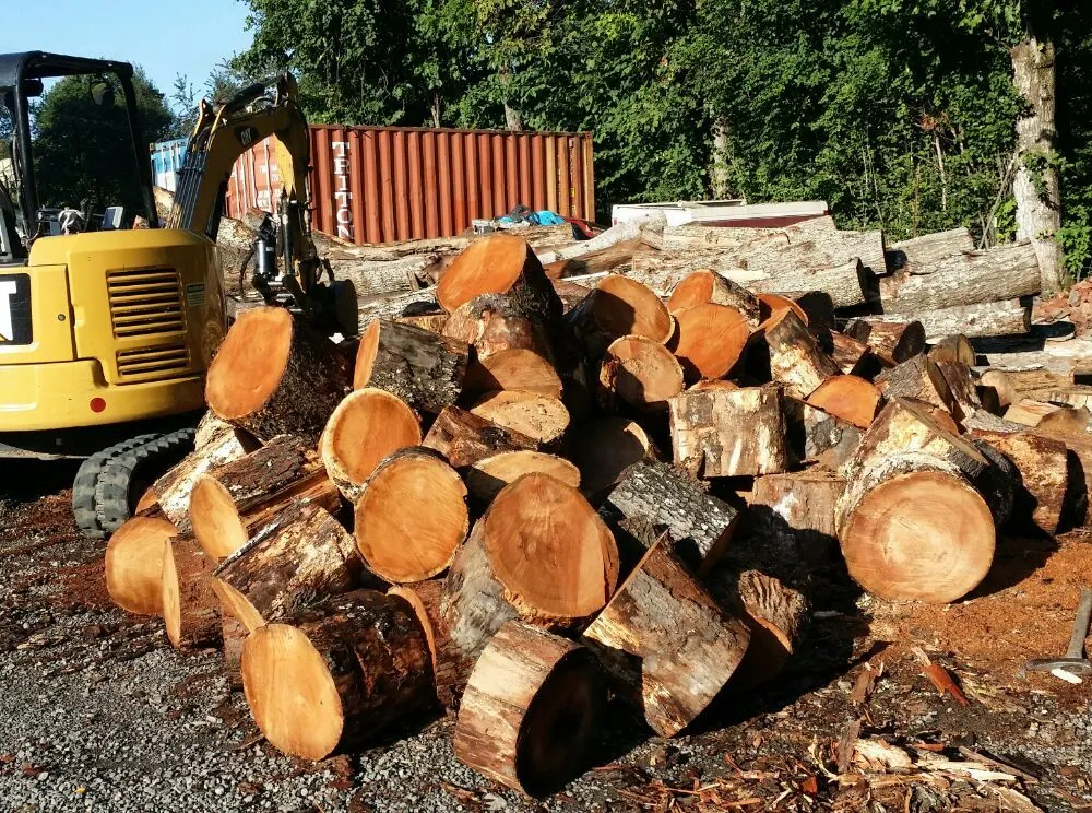 Local residential landscaping for homes across Culpeper, VA - Tim Corbin's Professional Services