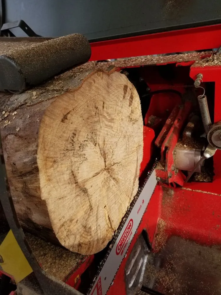 Local yard cleanup service near you across Culpeper, VA - Tim Corbin's Professional Services