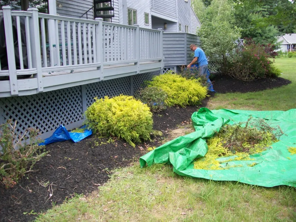 Professional yard cleanup service in Gloversville, NY by Tim Harnish Pools, Spas & Landscape Service