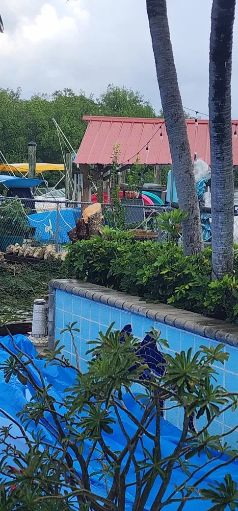 Expert lawn care service for residential properties across Tavernier, FL - Tim Matthews Tree & Landscape