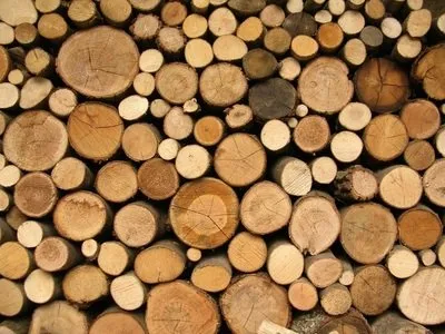 Professional lawn mowing service in Ham Lake, MN by Tim Olson Lawn Care & MN Property Services