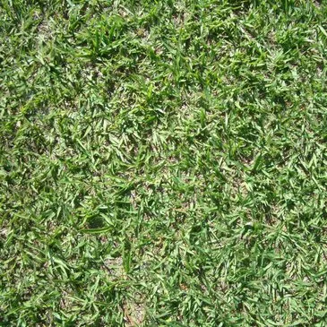 Expert lawn mowing service experts serving Ham Lake, MN - Tim Olson Lawn Care & MN Property Services