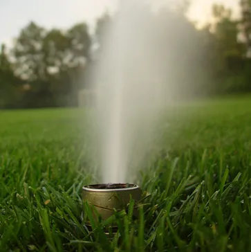 Local landscaping services for residential properties across Ham Lake, MN - Tim Olson Lawn Care & MN Property Services