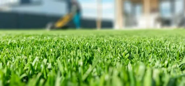 Tim Olson Lawn Care & MN Property Services