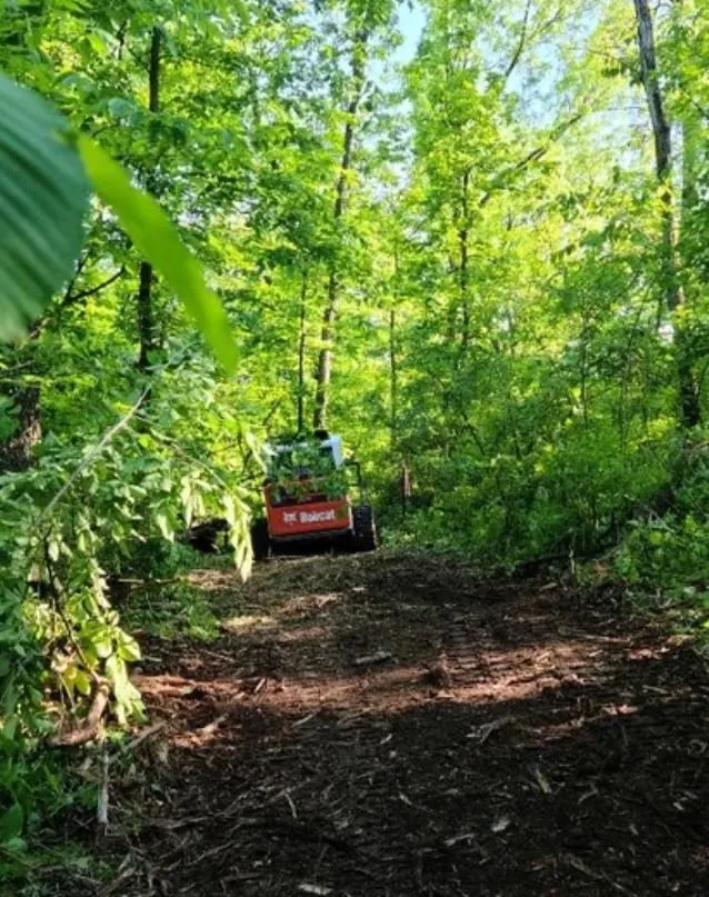 Local landscaping services with custom design across Mount Horeb, WI - Tim Post Services