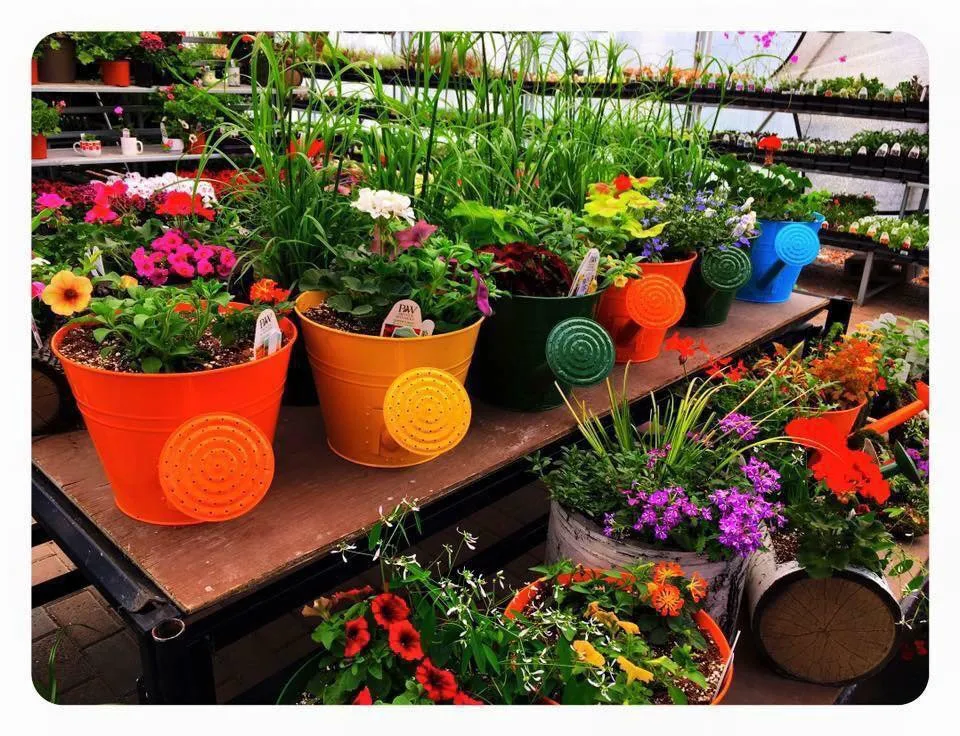 Top-rated garden landscaping experts serving Grand Forks, ND - Tim Shea's Nursery and Landscaping