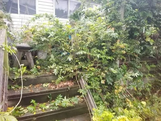 Affordable residential landscaping experts serving Bloomsburg, PA - Tim Todd Hauling