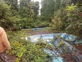 Top-rated lawn care service for outdoor upgrades in Bloomsburg, PA by Tim Todd Hauling