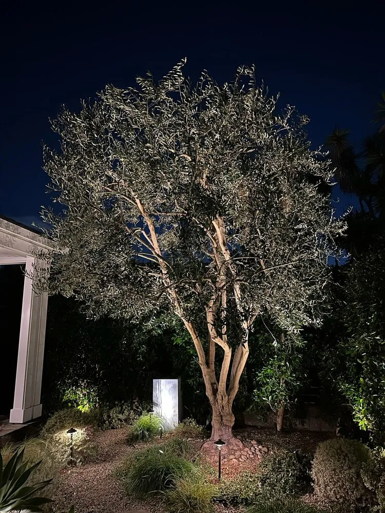 Custom landscape installation in Irvine, CA - Tim Ynclan's Artistic Tree Service