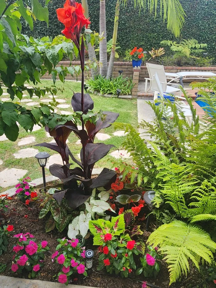 Local yard cleanup service for year-round maintenance across Irvine, CA - Tim Ynclan's Artistic Tree Service